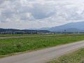 DSC01337