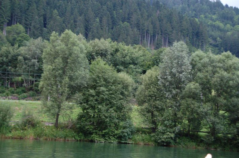 DSC_0011.JPG
