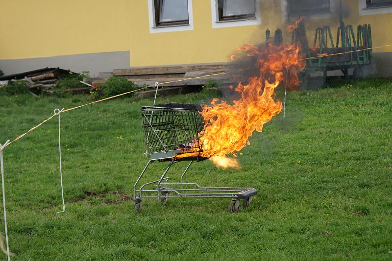 150.JPG