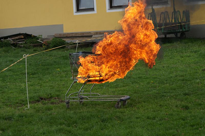 153.JPG