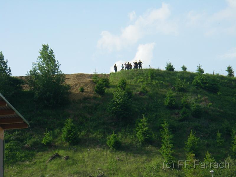 IMGP0137.JPG